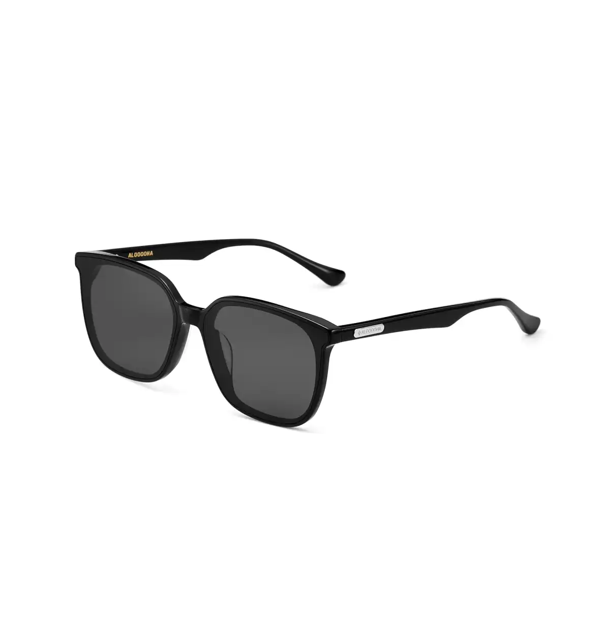Light Version Large Frame 2